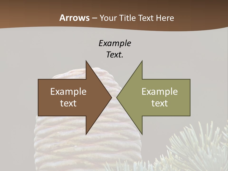 Cedar Cone PowerPoint Template