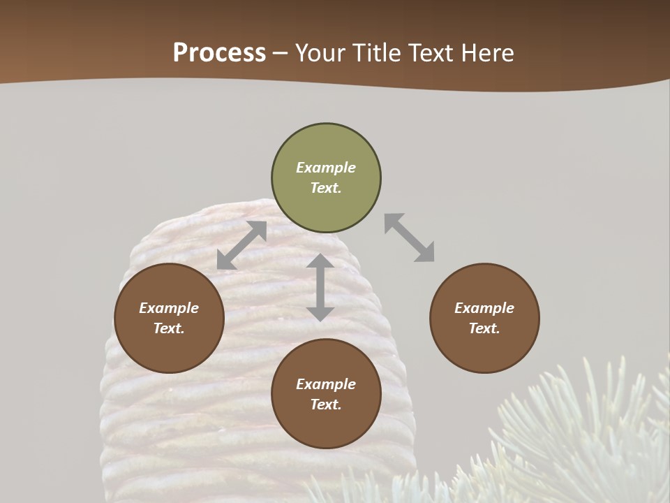 Cedar Cone PowerPoint Template