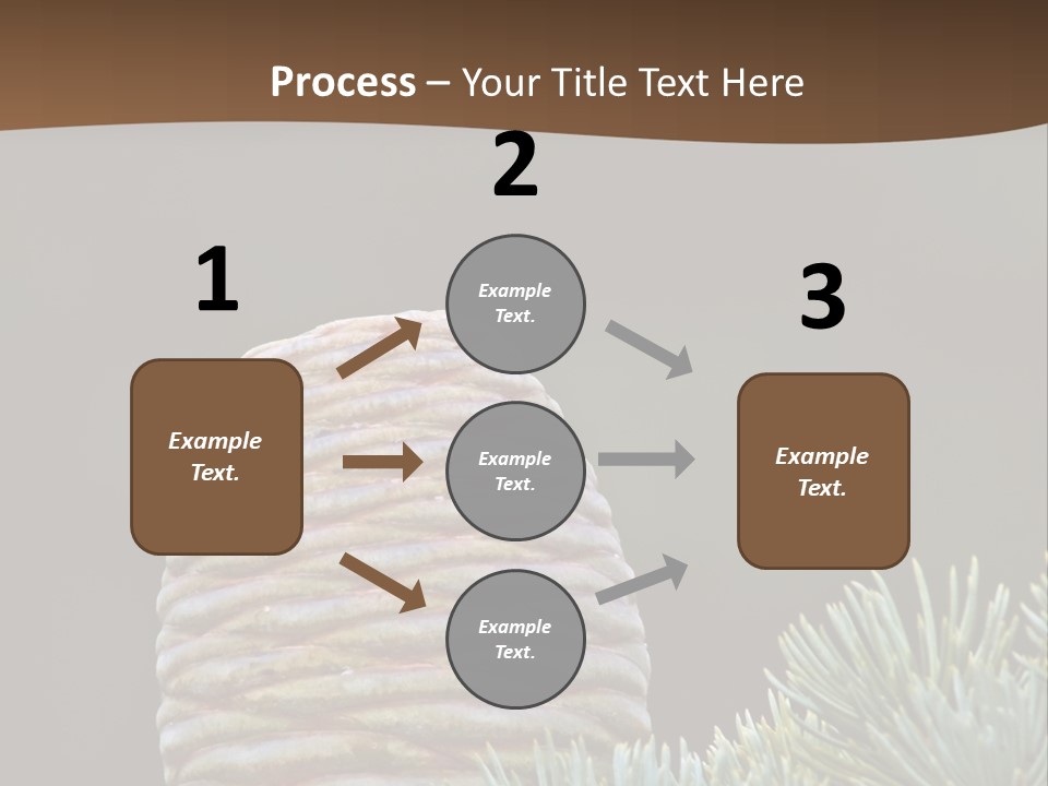 Cedar Cone PowerPoint Template