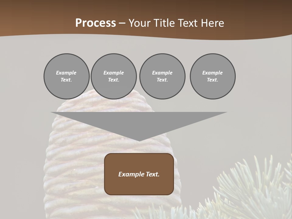 Cedar Cone PowerPoint Template