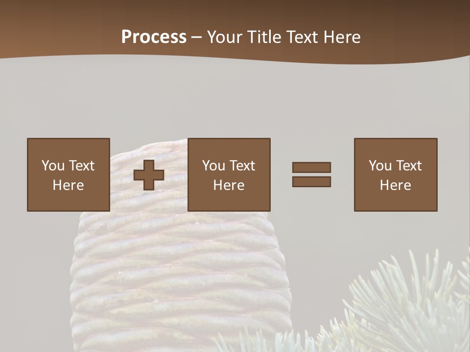 Cedar Cone PowerPoint Template
