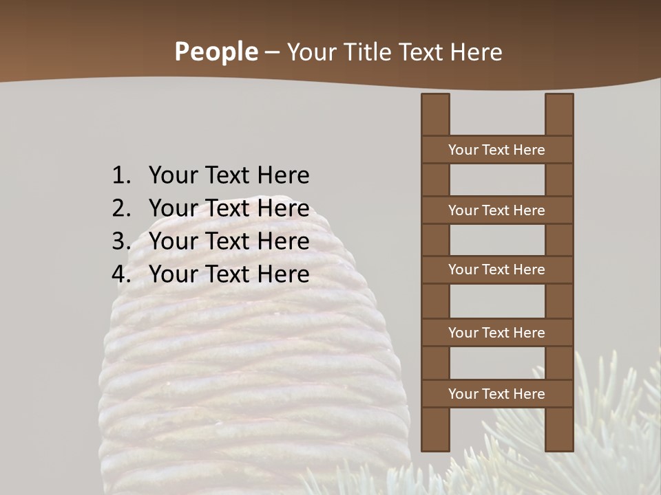 Cedar Cone PowerPoint Template