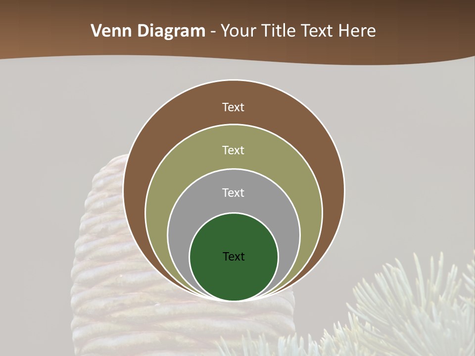 Cedar Cone PowerPoint Template