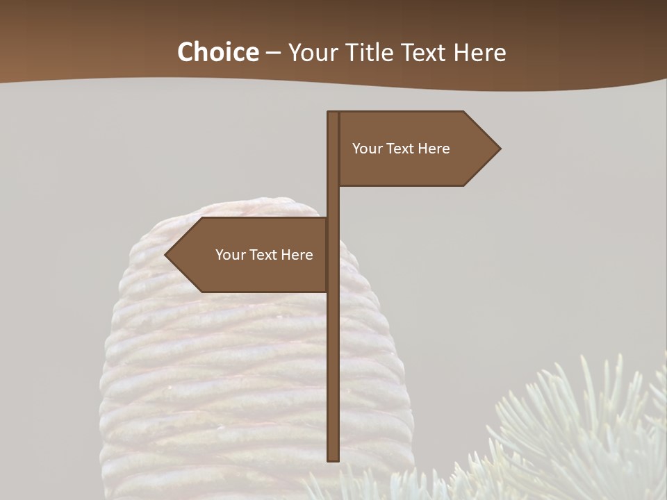 Cedar Cone PowerPoint Template