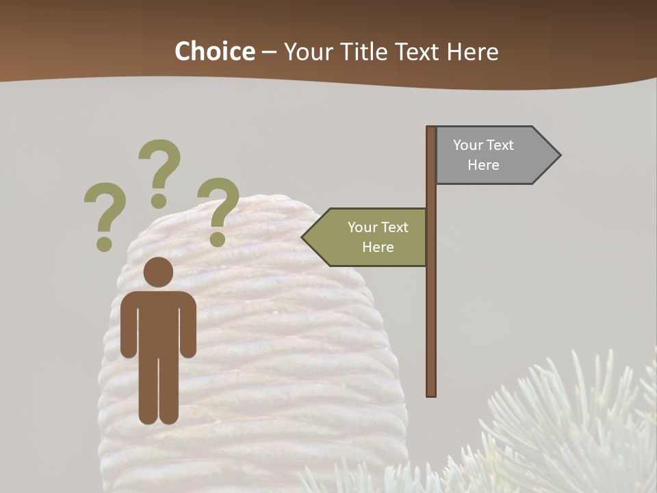 Cedar Cone PowerPoint Template