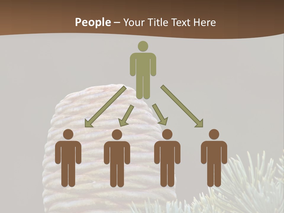 Cedar Cone PowerPoint Template
