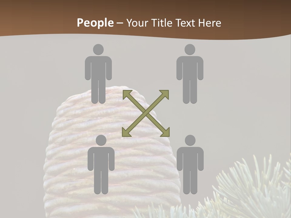 Cedar Cone PowerPoint Template
