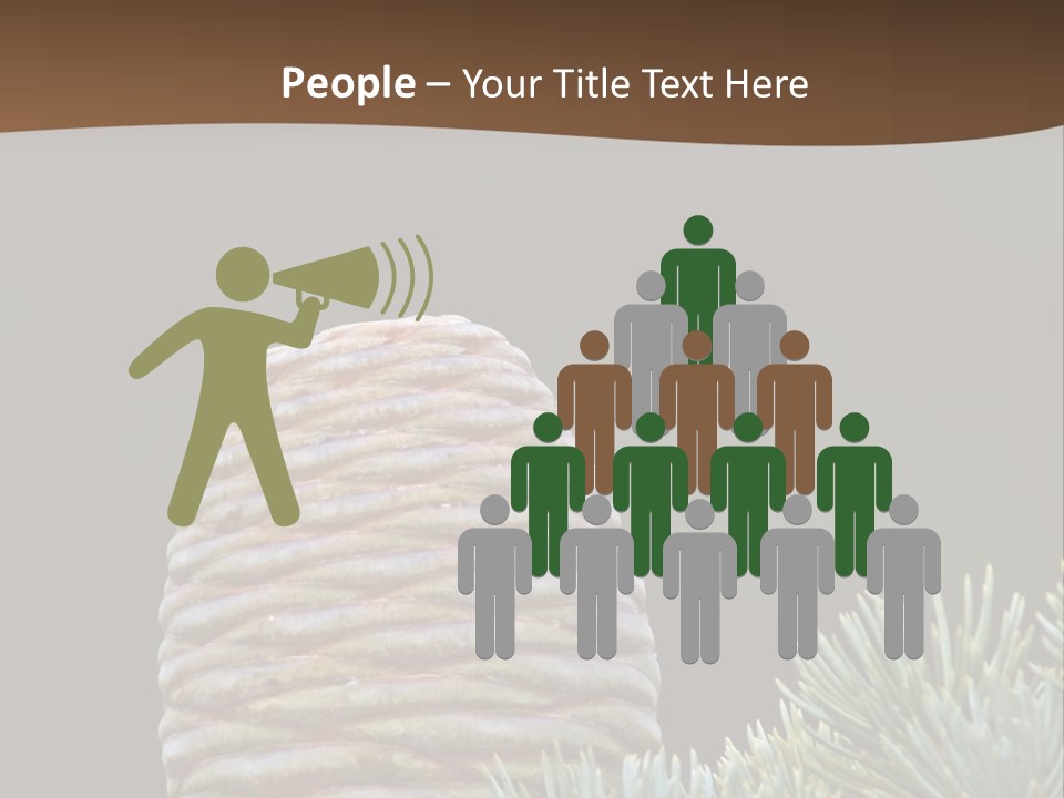 Cedar Cone PowerPoint Template