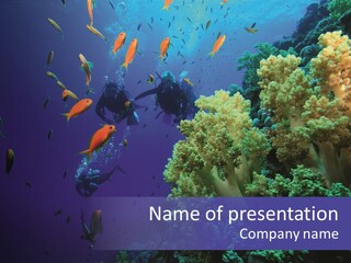 Scuba Divers And Coral Reef PowerPoint Template