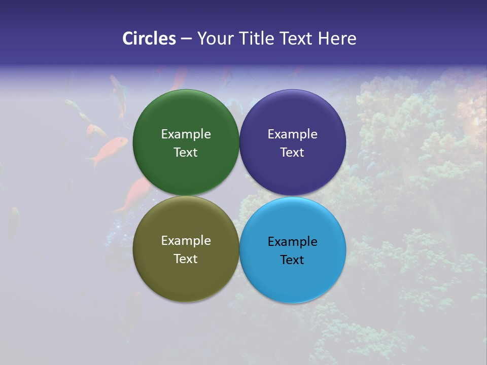 Scuba Divers And Coral Reef PowerPoint Template