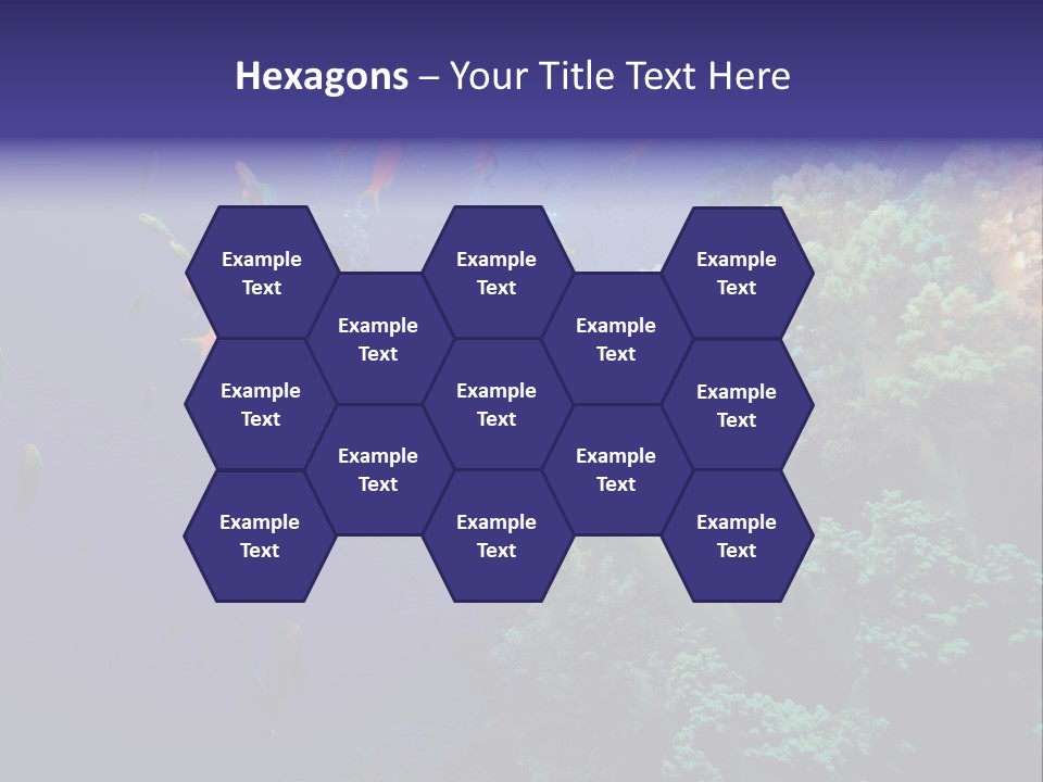 Scuba Divers And Coral Reef PowerPoint Template