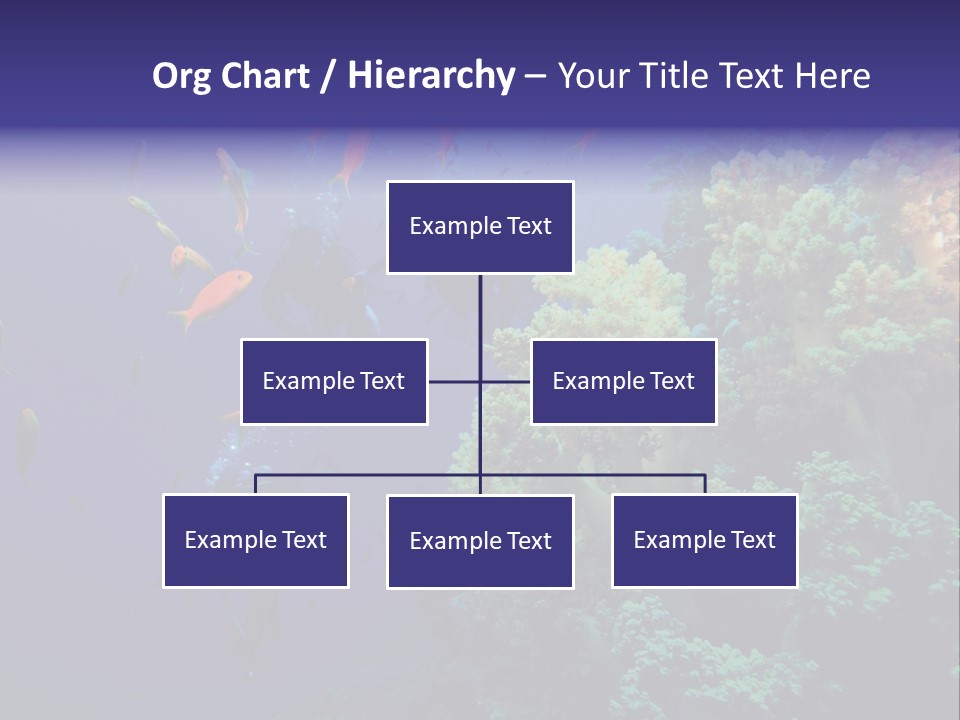 Scuba Divers And Coral Reef PowerPoint Template