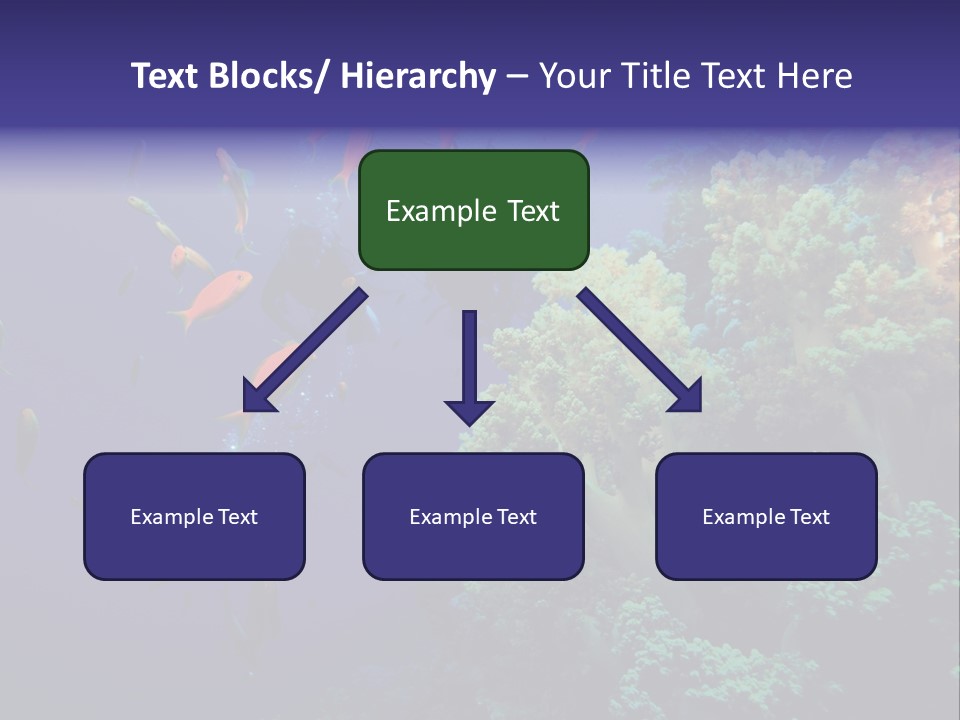 Scuba Divers And Coral Reef PowerPoint Template