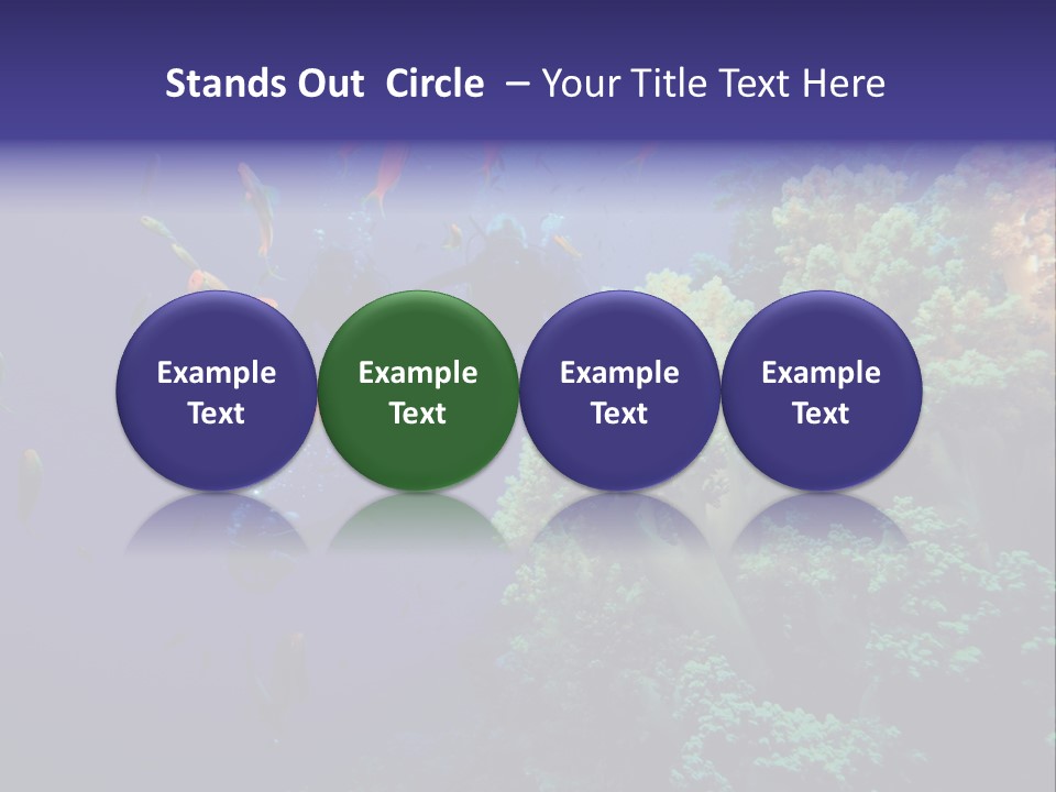 Scuba Divers And Coral Reef PowerPoint Template