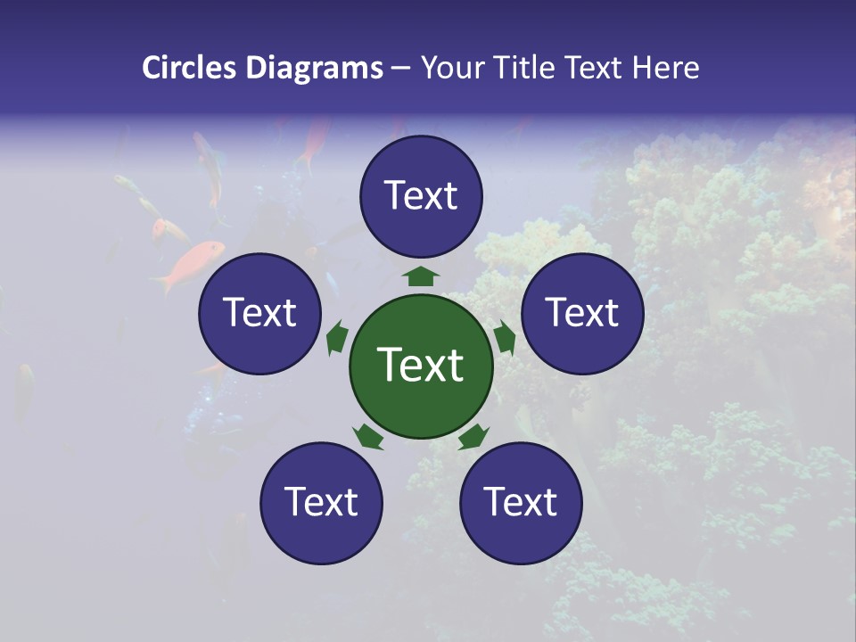 Scuba Divers And Coral Reef PowerPoint Template