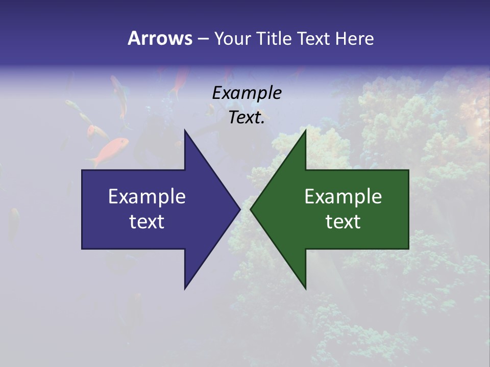 Scuba Divers And Coral Reef PowerPoint Template