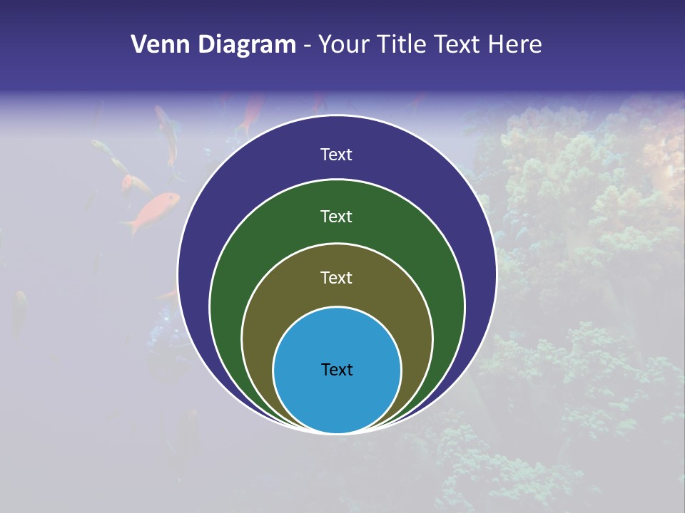 Scuba Divers And Coral Reef PowerPoint Template
