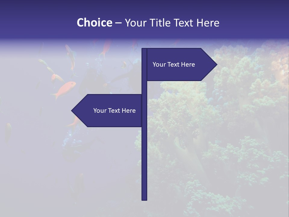 Scuba Divers And Coral Reef PowerPoint Template