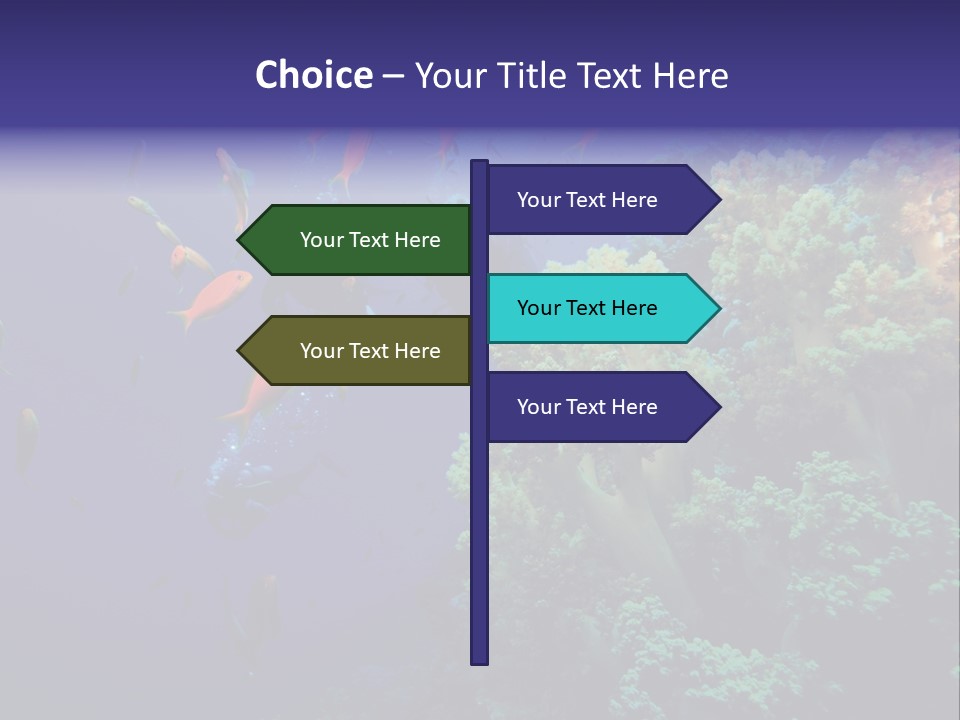 Scuba Divers And Coral Reef PowerPoint Template