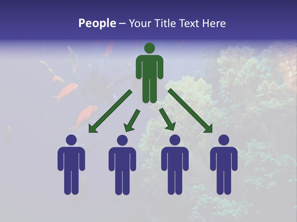 Scuba Divers And Coral Reef PowerPoint Template