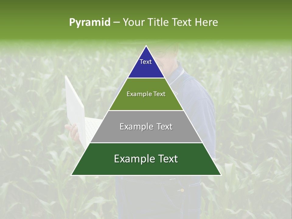 Buying, Selling Anywhere Anytime Anyone PowerPoint Template