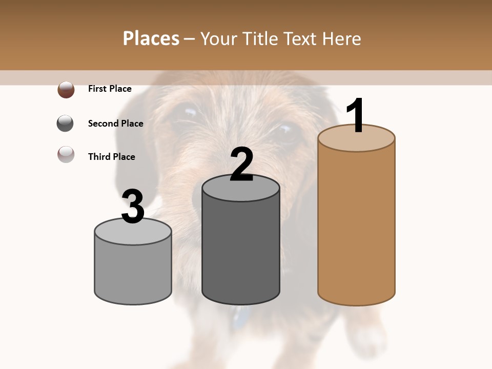 A Cute Mixed Breed Puppy Isolated Over White. The Dog Is Half Beagle And Half Yorkshire Terrier. Shallow Depth Of Field. PowerPoint Template