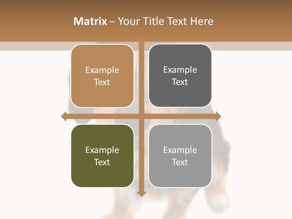 A Cute Mixed Breed Puppy Isolated Over White. The Dog Is Half Beagle And Half Yorkshire Terrier. Shallow Depth Of Field. PowerPoint Template