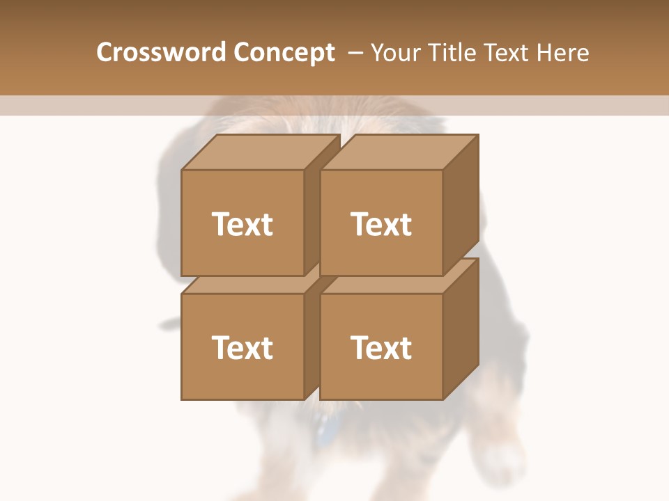 A Cute Mixed Breed Puppy Isolated Over White. The Dog Is Half Beagle And Half Yorkshire Terrier. Shallow Depth Of Field. PowerPoint Template