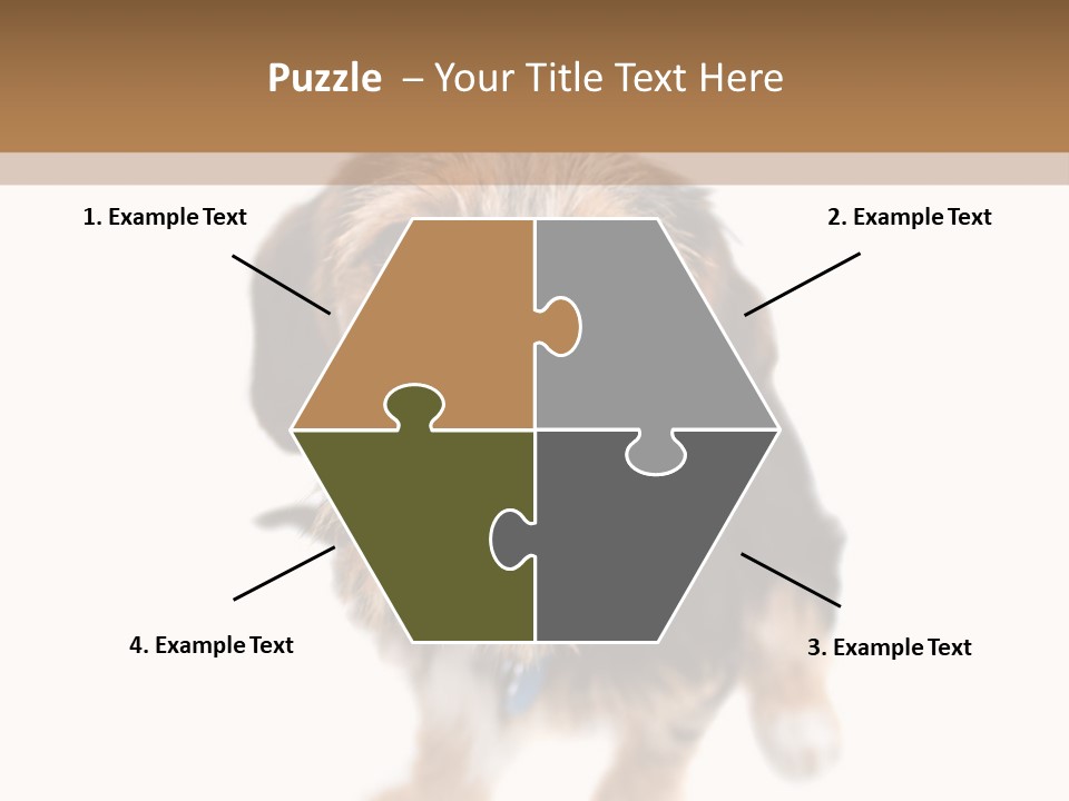 A Cute Mixed Breed Puppy Isolated Over White. The Dog Is Half Beagle And Half Yorkshire Terrier. Shallow Depth Of Field. PowerPoint Template