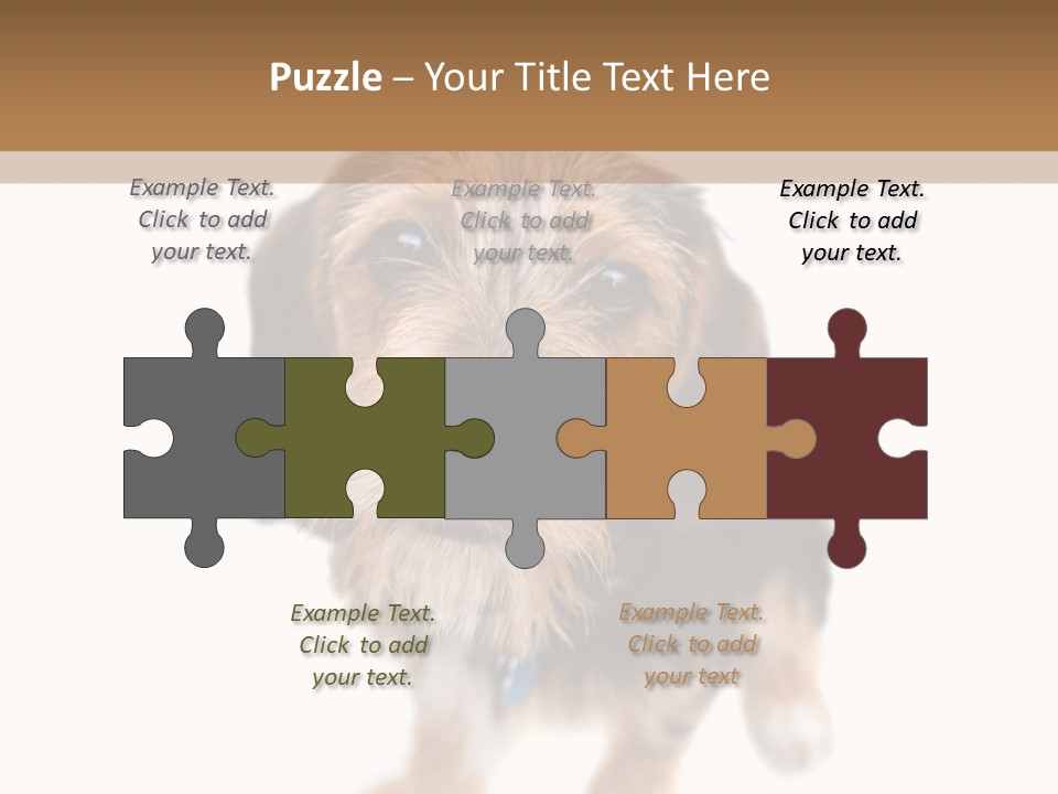 A Cute Mixed Breed Puppy Isolated Over White. The Dog Is Half Beagle And Half Yorkshire Terrier. Shallow Depth Of Field. PowerPoint Template