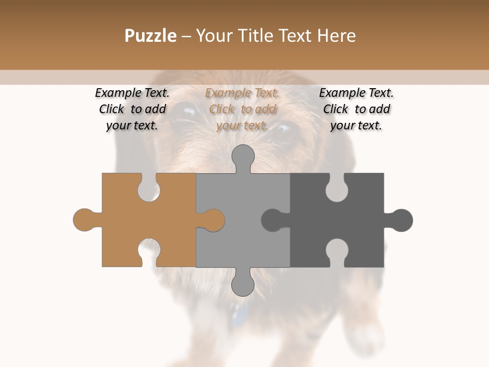 A Cute Mixed Breed Puppy Isolated Over White. The Dog Is Half Beagle And Half Yorkshire Terrier. Shallow Depth Of Field. PowerPoint Template