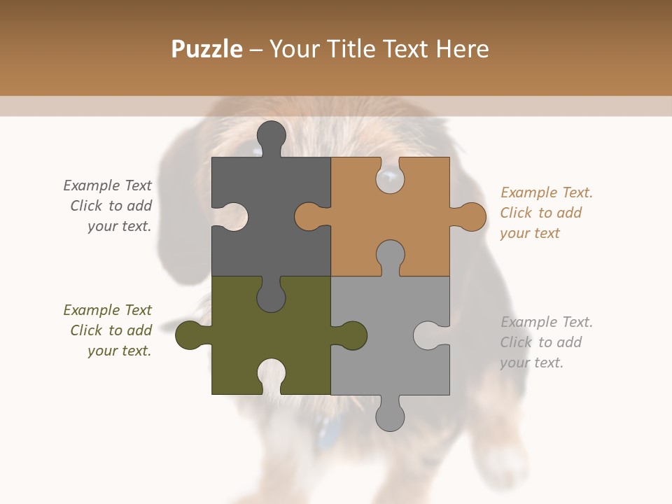 A Cute Mixed Breed Puppy Isolated Over White. The Dog Is Half Beagle And Half Yorkshire Terrier. Shallow Depth Of Field. PowerPoint Template