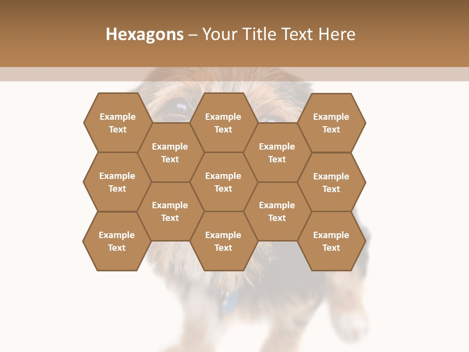 A Cute Mixed Breed Puppy Isolated Over White. The Dog Is Half Beagle And Half Yorkshire Terrier. Shallow Depth Of Field. PowerPoint Template