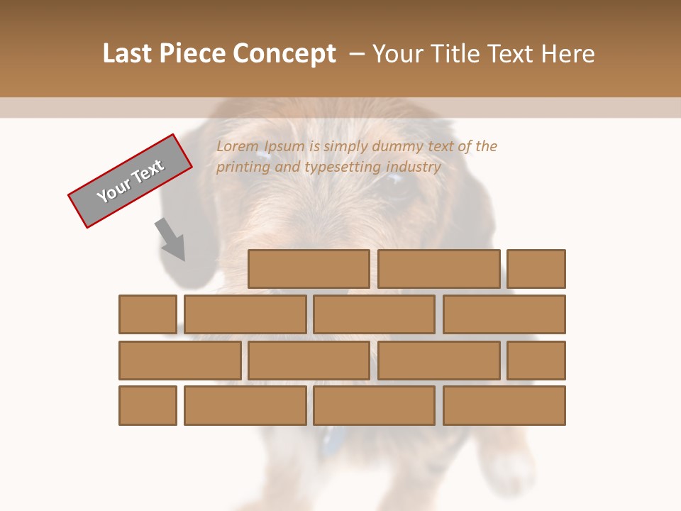 A Cute Mixed Breed Puppy Isolated Over White. The Dog Is Half Beagle And Half Yorkshire Terrier. Shallow Depth Of Field. PowerPoint Template