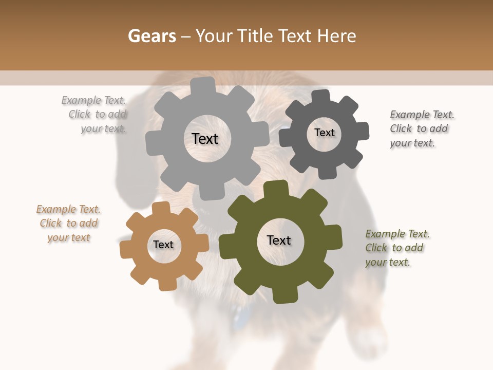 A Cute Mixed Breed Puppy Isolated Over White. The Dog Is Half Beagle And Half Yorkshire Terrier. Shallow Depth Of Field. PowerPoint Template