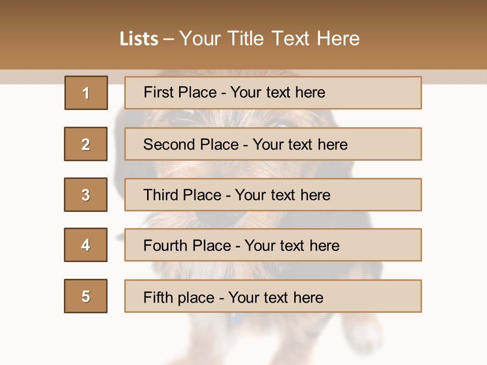 A Cute Mixed Breed Puppy Isolated Over White. The Dog Is Half Beagle And Half Yorkshire Terrier. Shallow Depth Of Field. PowerPoint Template