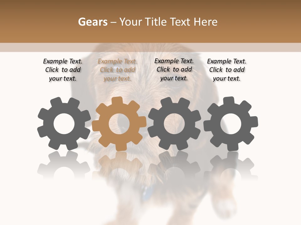 A Cute Mixed Breed Puppy Isolated Over White. The Dog Is Half Beagle And Half Yorkshire Terrier. Shallow Depth Of Field. PowerPoint Template