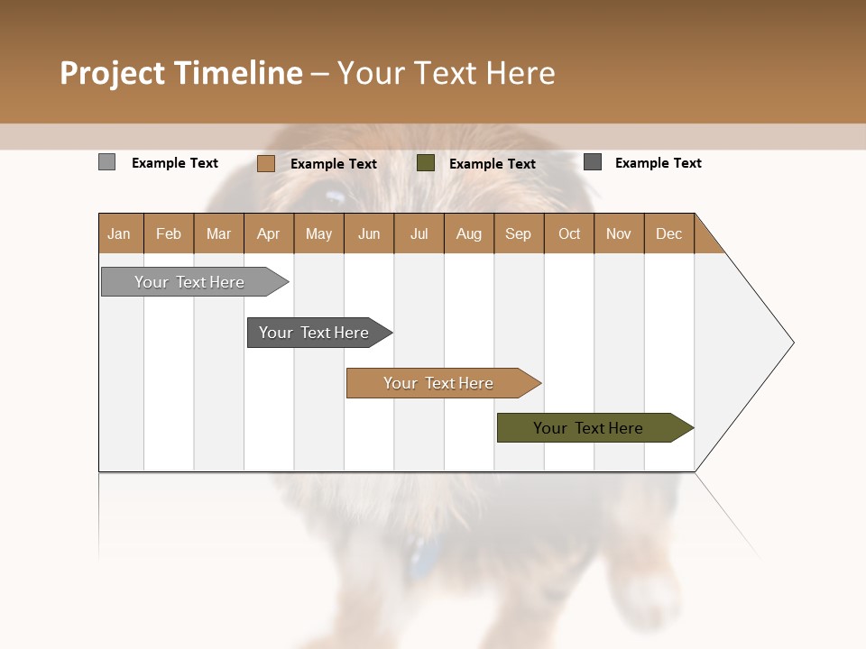 A Cute Mixed Breed Puppy Isolated Over White. The Dog Is Half Beagle And Half Yorkshire Terrier. Shallow Depth Of Field. PowerPoint Template