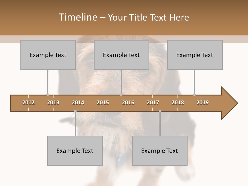 A Cute Mixed Breed Puppy Isolated Over White. The Dog Is Half Beagle And Half Yorkshire Terrier. Shallow Depth Of Field. PowerPoint Template