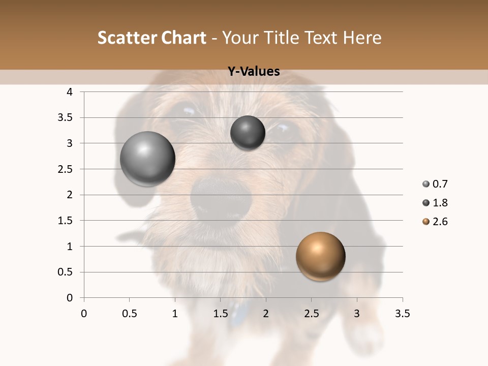 A Cute Mixed Breed Puppy Isolated Over White. The Dog Is Half Beagle And Half Yorkshire Terrier. Shallow Depth Of Field. PowerPoint Template