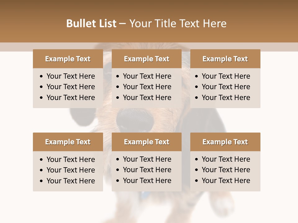 A Cute Mixed Breed Puppy Isolated Over White. The Dog Is Half Beagle And Half Yorkshire Terrier. Shallow Depth Of Field. PowerPoint Template