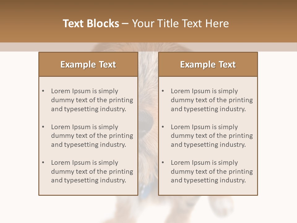 A Cute Mixed Breed Puppy Isolated Over White. The Dog Is Half Beagle And Half Yorkshire Terrier. Shallow Depth Of Field. PowerPoint Template