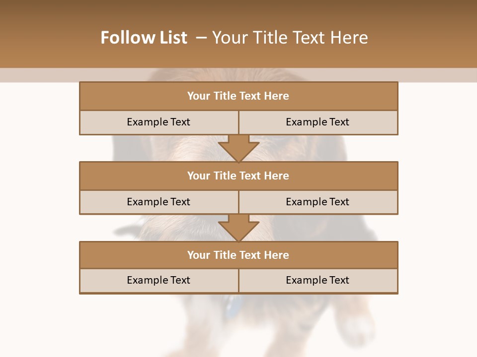 A Cute Mixed Breed Puppy Isolated Over White. The Dog Is Half Beagle And Half Yorkshire Terrier. Shallow Depth Of Field. PowerPoint Template