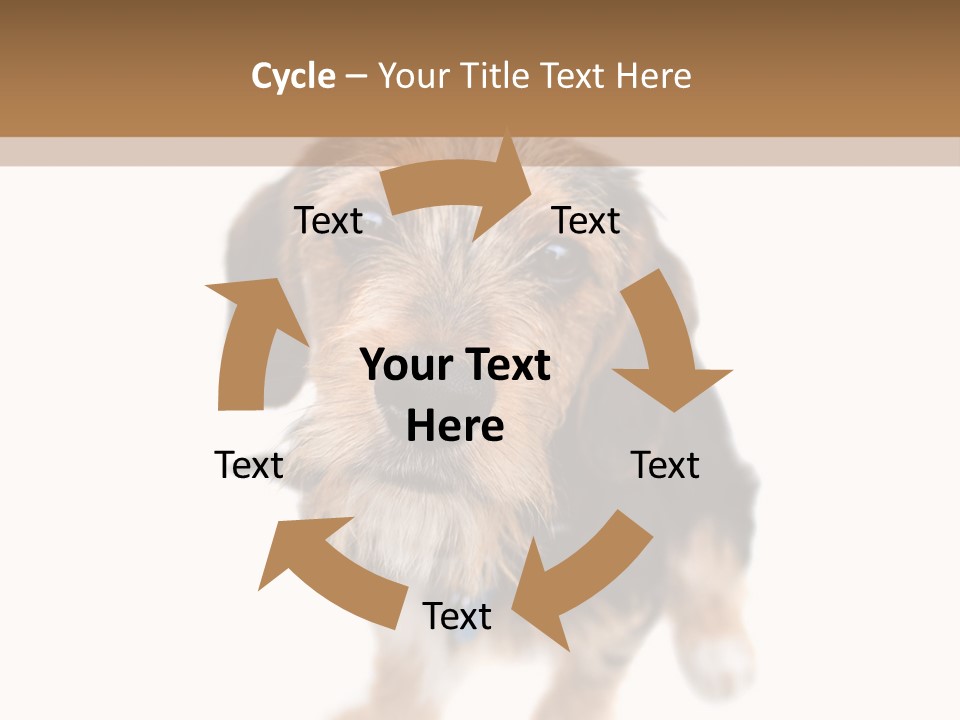 A Cute Mixed Breed Puppy Isolated Over White. The Dog Is Half Beagle And Half Yorkshire Terrier. Shallow Depth Of Field. PowerPoint Template