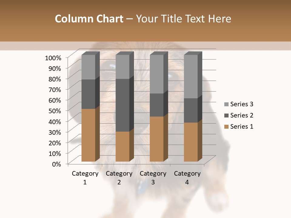 A Cute Mixed Breed Puppy Isolated Over White. The Dog Is Half Beagle And Half Yorkshire Terrier. Shallow Depth Of Field. PowerPoint Template