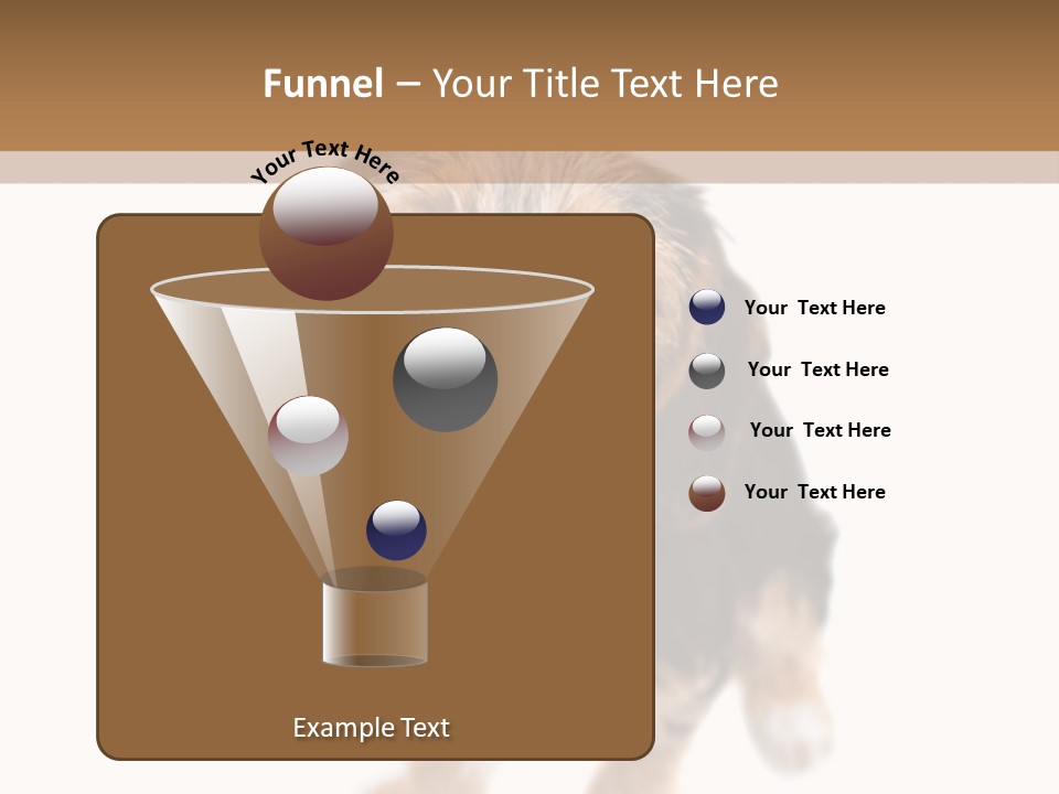 A Cute Mixed Breed Puppy Isolated Over White. The Dog Is Half Beagle And Half Yorkshire Terrier. Shallow Depth Of Field. PowerPoint Template