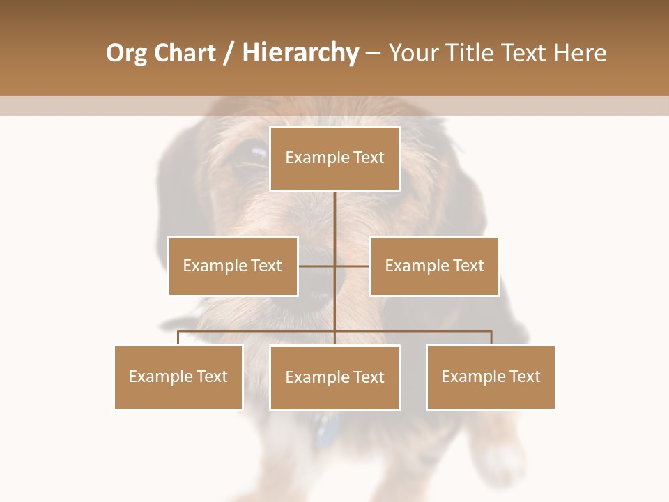 A Cute Mixed Breed Puppy Isolated Over White. The Dog Is Half Beagle And Half Yorkshire Terrier. Shallow Depth Of Field. PowerPoint Template