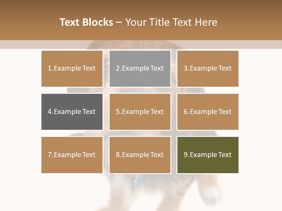 A Cute Mixed Breed Puppy Isolated Over White. The Dog Is Half Beagle And Half Yorkshire Terrier. Shallow Depth Of Field. PowerPoint Template