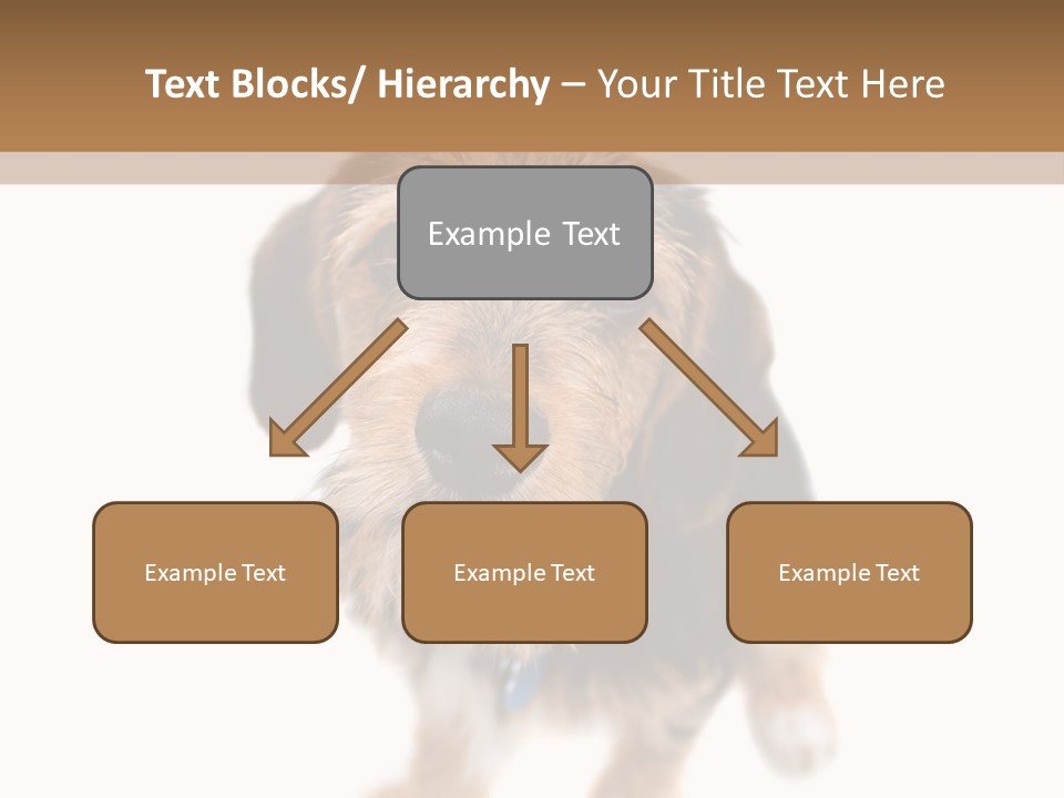A Cute Mixed Breed Puppy Isolated Over White. The Dog Is Half Beagle And Half Yorkshire Terrier. Shallow Depth Of Field. PowerPoint Template