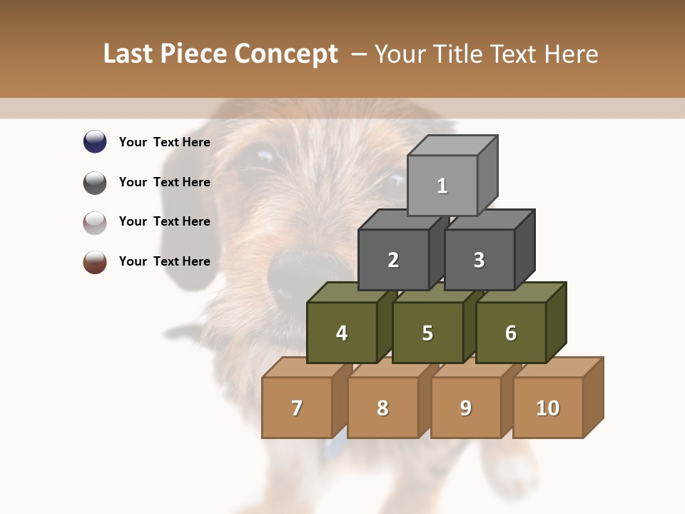 A Cute Mixed Breed Puppy Isolated Over White. The Dog Is Half Beagle And Half Yorkshire Terrier. Shallow Depth Of Field. PowerPoint Template